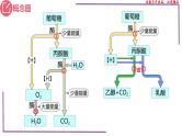 （新人教版）新高考生物一轮复习精讲课件16 细胞呼吸（含答案）