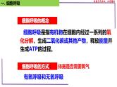 （新人教版）新高考生物一轮复习精讲课件16 细胞呼吸（含答案）