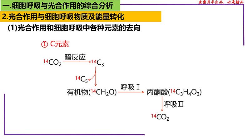 （新人教版）新高考生物一轮复习精讲课件20 光合作用4（光合作用与呼吸作用）（含答案）第6页