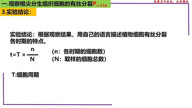 （新人教版）新高考生物一轮复习精讲课件23 分裂有关的三个实验（含答案）第7页