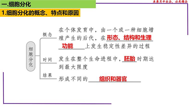 （新人教版）新高考生物一轮复习精讲课件25 细胞的分化、衰老、死亡（含答案）第7页