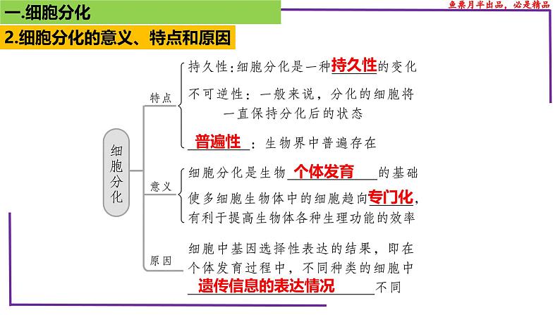 （新人教版）新高考生物一轮复习精讲课件25 细胞的分化、衰老、死亡（含答案）第8页