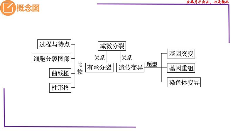 （新人教版）新高考生物一轮复习精讲课件27 有丝分裂和减数分裂 观察蝗虫精母细胞减数分裂装片（含答案）第3页