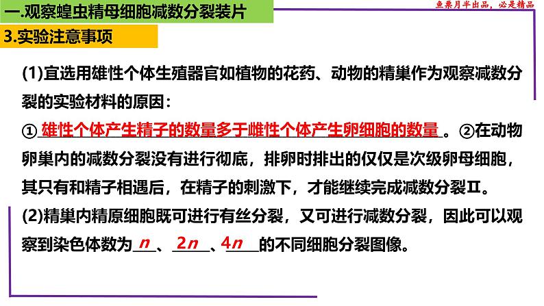 （新人教版）新高考生物一轮复习精讲课件27 有丝分裂和减数分裂 观察蝗虫精母细胞减数分裂装片（含答案）第6页