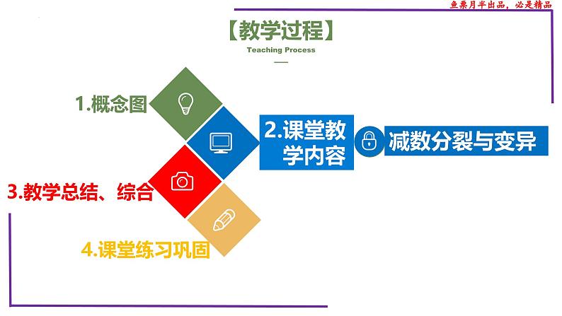 （新人教版）新高考生物一轮复习精讲课件28 减数分裂与可遗传变异（含答案）第2页