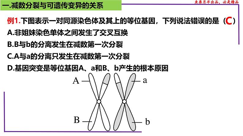 （新人教版）新高考生物一轮复习精讲课件28 减数分裂与可遗传变异（含答案）第6页