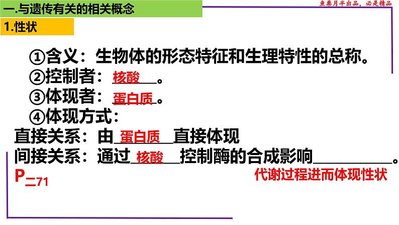 （新人教版）新高考生物一轮复习精讲课件29 遗传相关概念（含答案）第4页