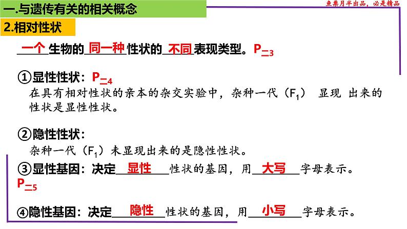 （新人教版）新高考生物一轮复习精讲课件29 遗传相关概念（含答案）第5页