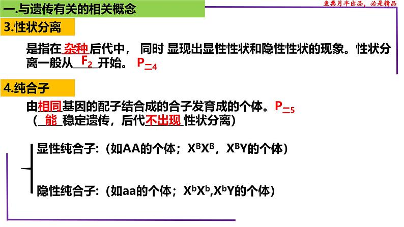 （新人教版）新高考生物一轮复习精讲课件29 遗传相关概念（含答案）第6页