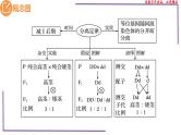 （新人教版）新高考生物一轮复习精讲课件30 分离定律的发现（含答案）