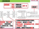 （新人教版）新高考生物一轮复习精讲课件30 分离定律的发现（含答案）