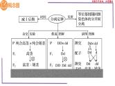 （新人教版）新高考生物一轮复习精讲课件31 分离定律题型（含答案）