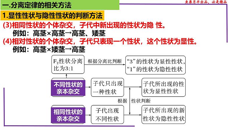 （新人教版）新高考生物一轮复习精讲课件31 分离定律题型（含答案）07