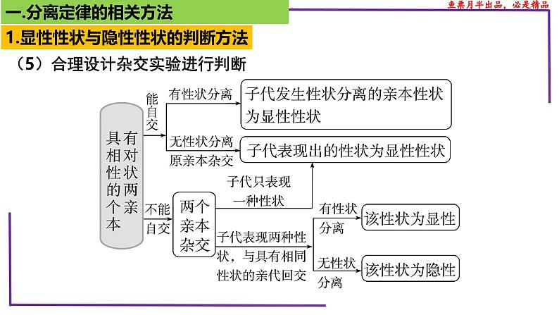 （新人教版）新高考生物一轮复习精讲课件31 分离定律题型（含答案）08