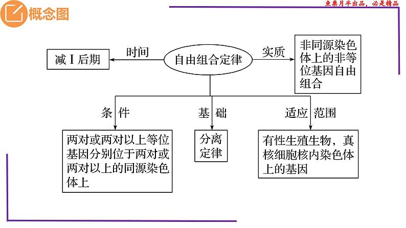 （新人教版）新高考生物一轮复习精讲课件33 自由组合定律的题型（第1课时）（含答案）03