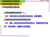 （新人教版）新高考生物一轮复习精讲课件36 伴性遗传（含答案）