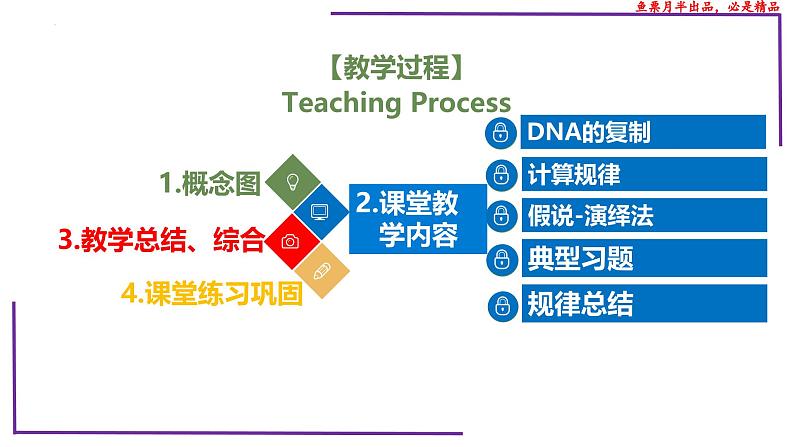 （新人教版）新高考生物一轮复习精讲课件41 DNA分子的复制（含答案）第2页