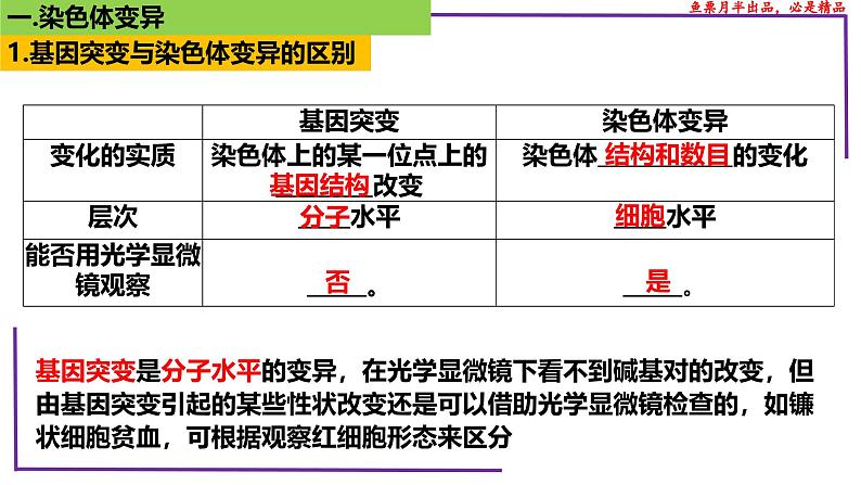 （新人教版）新高考生物一轮复习精讲课件45染色体变异（含答案）第4页