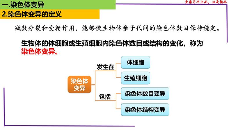 （新人教版）新高考生物一轮复习精讲课件45染色体变异（含答案）第5页