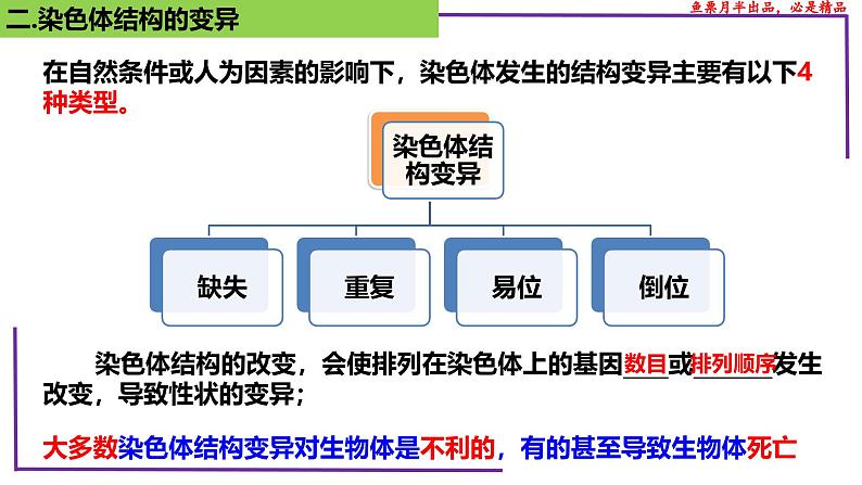 （新人教版）新高考生物一轮复习精讲课件45染色体变异（含答案）第6页