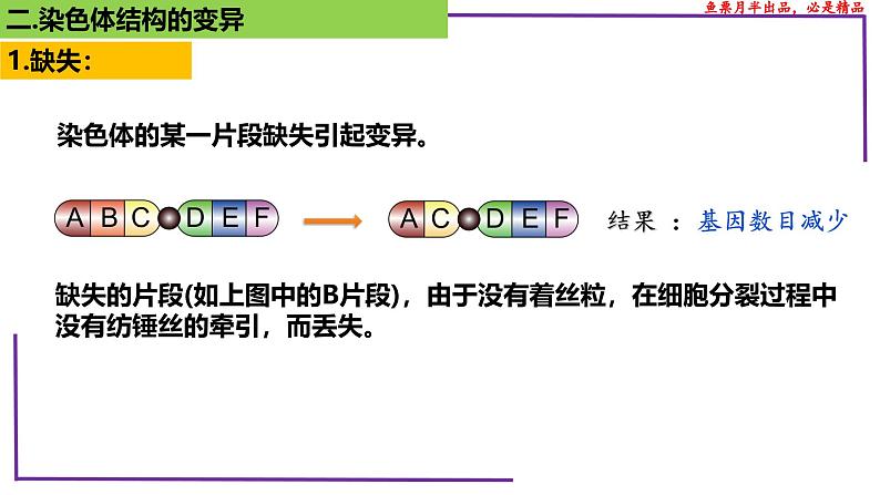 （新人教版）新高考生物一轮复习精讲课件45染色体变异（含答案）第7页