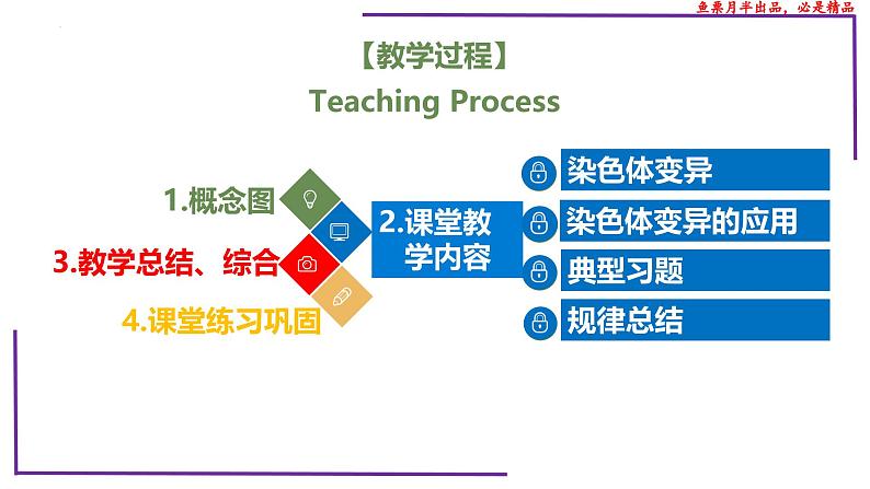 （新人教版）新高考生物一轮复习精讲课件46变异在育种上的应用（含答案）02