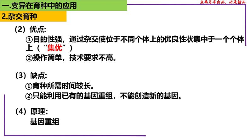 （新人教版）新高考生物一轮复习精讲课件46变异在育种上的应用（含答案）08