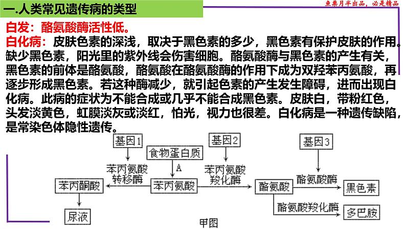 （新人教版）新高考生物一轮复习精讲课件47人类遗传病（含答案）第6页