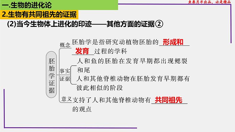 （新人教版）新高考生物一轮复习精讲课件48生物的进化（含答案）第7页