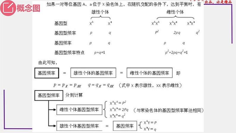 （新人教版）新高考生物一轮复习精讲课件49种群基因频率的计算（含答案）第3页