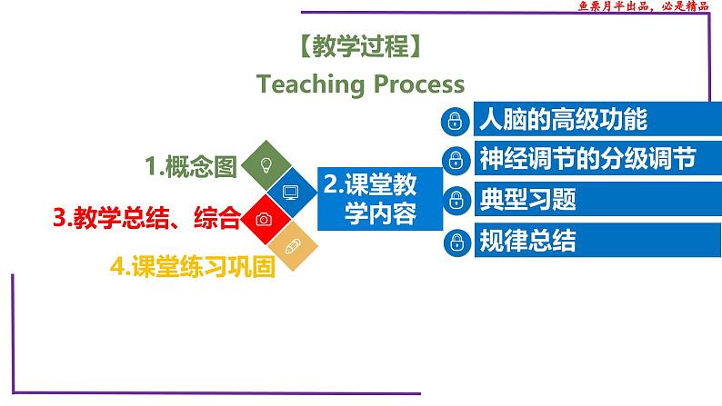 （新人教版）新高考生物一轮复习精讲课件53神经系统的分级调节及人脑的高级功能（含答案）02