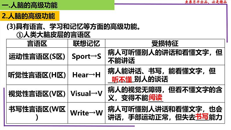 （新人教版）新高考生物一轮复习精讲课件53神经系统的分级调节及人脑的高级功能（含答案）06