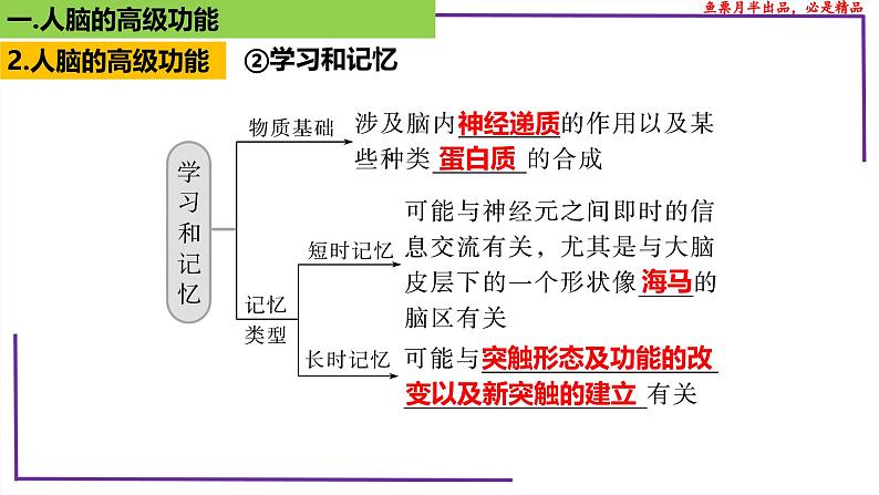 （新人教版）新高考生物一轮复习精讲课件53神经系统的分级调节及人脑的高级功能（含答案）08