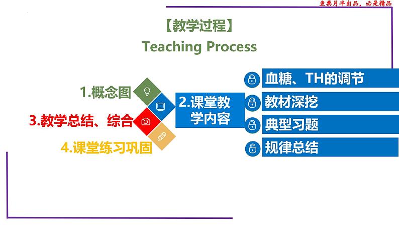 （新人教版）新高考生物一轮复习精讲课件56激素调节的实例（含答案）第2页