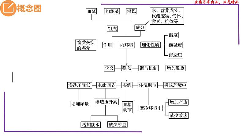 （新人教版）新高考生物一轮复习精讲课件56激素调节的实例（含答案）第3页