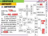 （新人教版）新高考生物一轮复习精讲课件56激素调节的实例（含答案）