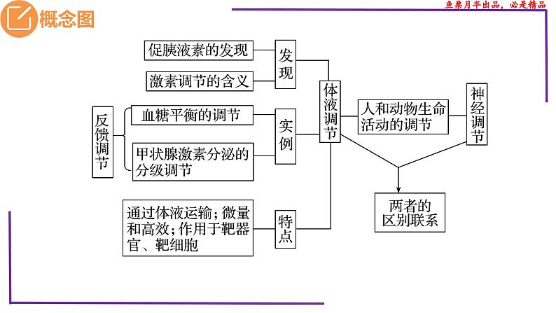 （新人教版）新高考生物一轮复习精讲课件57体液调节与神经调节关系（含答案）第3页