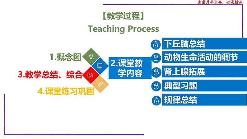 （新人教版）新高考生物一轮复习精讲课件58动物生命活动调节模型的构建和分析（含答案）02