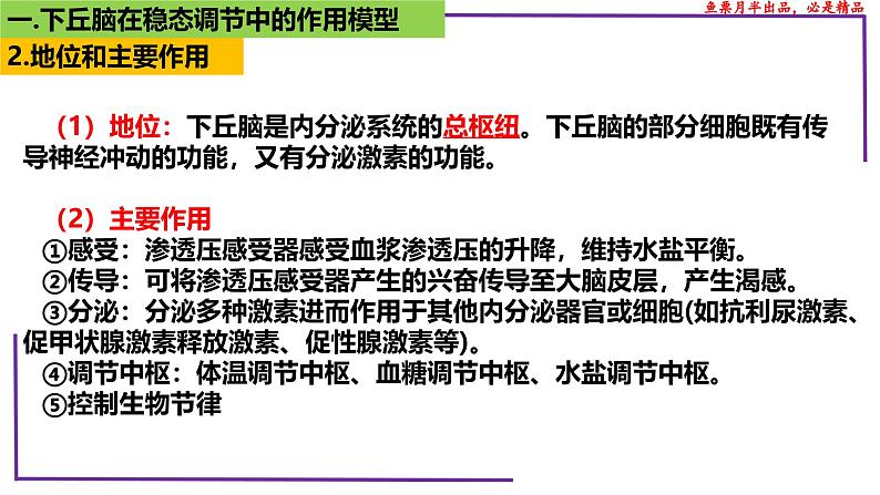 （新人教版）新高考生物一轮复习精讲课件58动物生命活动调节模型的构建和分析（含答案）05