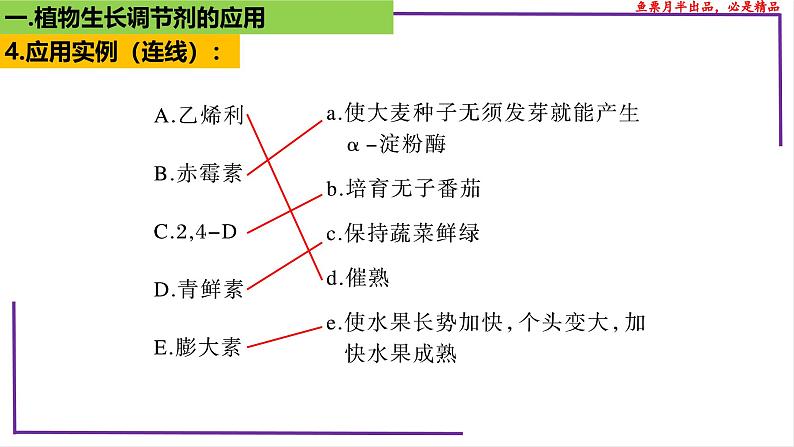 （新人教版）新高考生物一轮复习精讲课件64植物生长调节剂的应用（含答案）第5页