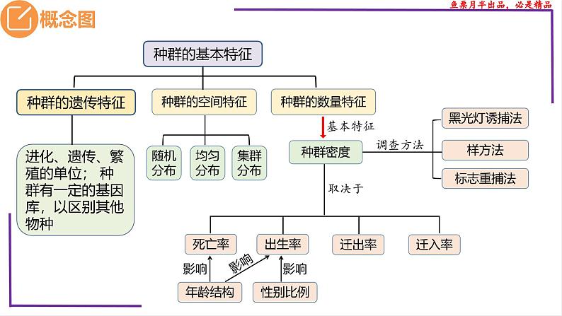 （新人教版）新高考生物一轮复习精讲课件65种群的数量特征（含答案）第3页