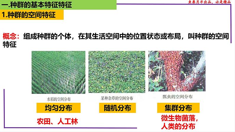 （新人教版）新高考生物一轮复习精讲课件65种群的数量特征（含答案）第5页