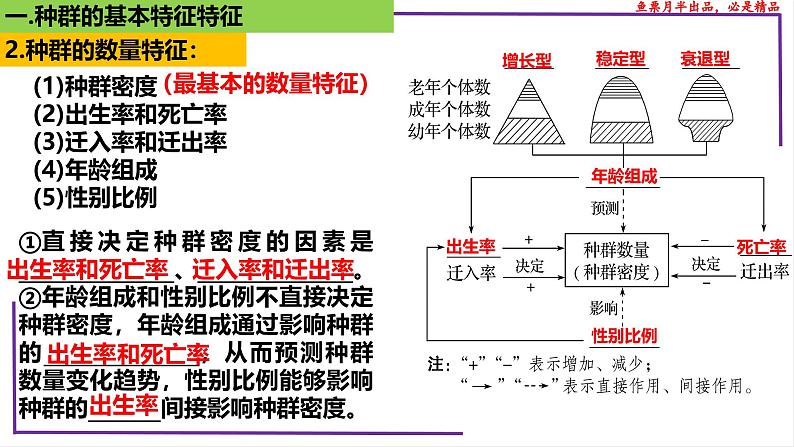 （新人教版）新高考生物一轮复习精讲课件65种群的数量特征（含答案）第6页