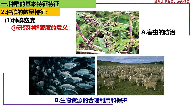 （新人教版）新高考生物一轮复习精讲课件65种群的数量特征（含答案）第8页