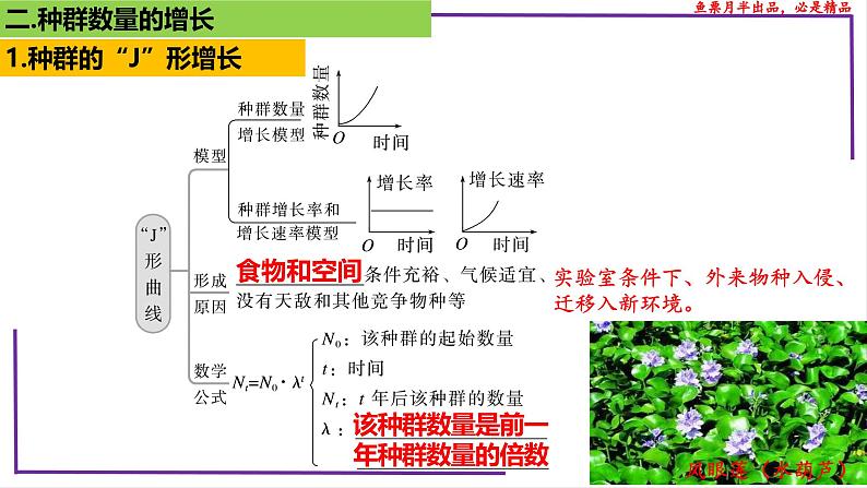 （新人教版）新高考生物一轮复习精讲课件66种群的数量变化及影响因素（含答案）第5页