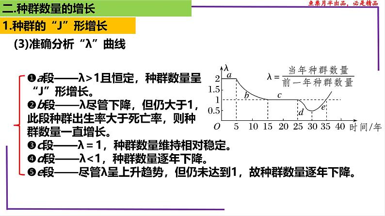 （新人教版）新高考生物一轮复习精讲课件66种群的数量变化及影响因素（含答案）第7页