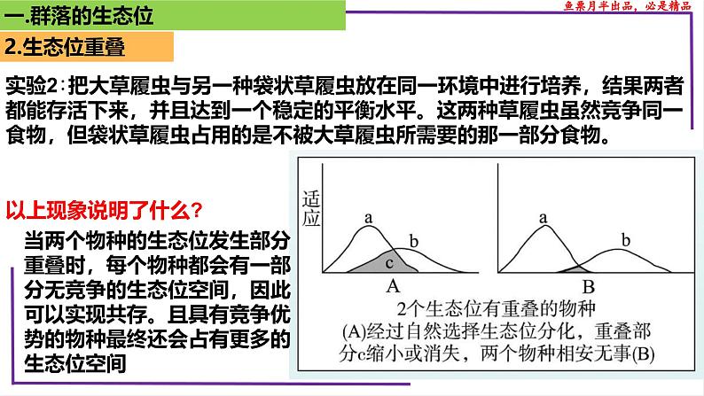 （新人教版）新高考生物一轮复习精讲课件68群落的生态位（含答案）第7页