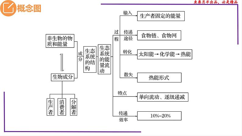 （新人教版）新高考生物一轮复习精讲课件70生态系统的结构（含答案）第3页