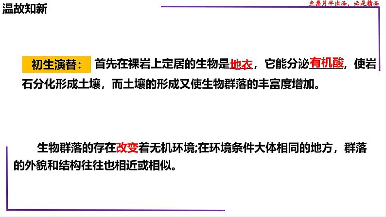 （新人教版）新高考生物一轮复习精讲课件70生态系统的结构（含答案）第4页