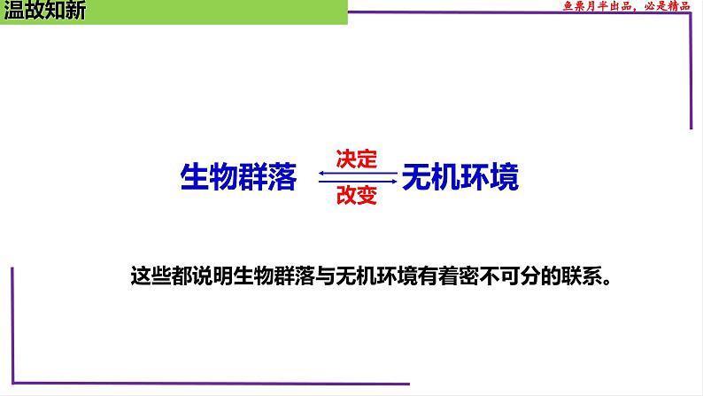 （新人教版）新高考生物一轮复习精讲课件70生态系统的结构（含答案）第5页